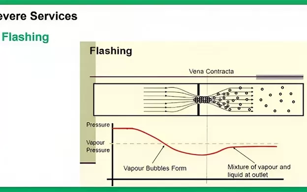 S08E07 - Basic Terms and Definitions